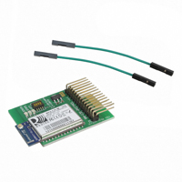 Microchip Technology RN-131-PICTAIL