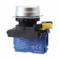 Omron Automation and Safety - A22NN-MNA-NWA-G100-NN - SWITCH PUSH SPST-NO 10A 120V
