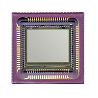 ON Semiconductor - CYII5SM1300AB-QWC - SENSOR IMAGE MONO CMOS 84-LCC