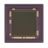 ON Semiconductor - CYIL1SM4000AA-GDC - SENSOR IMAGE 4MP CMOS 127-PGA