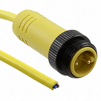 Phoenix Contact - 1416539 - CBL CIRC 2POS MALE TO WIRE LEADS