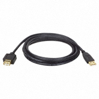 Tripp Lite - U004-010 - CABLE USB A/A EXTENSION 10'