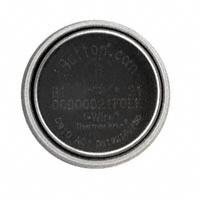 Maxim Integrated - DS1921G-F5# - IBUTTON THERMOCHRON F5