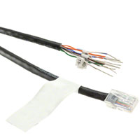 Digi International - 76000723 - CABLE MOD 10P0C PLUG-CABLE 4'