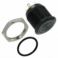 E-Switch - PV6F24011G-301 - SWITCH PUSHBUTTON SPST 2A 48V