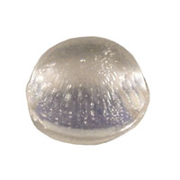 Hammond Manufacturing - 1421T5CL - FEET RUBBER .44" X .20" CLR 1=24