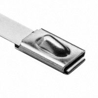 HellermannTyton - MBT20H - SS TIE 450LB 20.5"