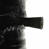 I.O. Interconnect - GLF-120-010-010 - CABLE MOD FLAT 10COND BLK 1000'