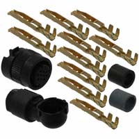 JAE Electronics - JN1FS10SLK - CONN PLG HSG FMAL 10PS INLINE RA