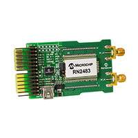 Microchip Technology - RN-2483-PICTAIL - PICTAILPLUS LORA BOARD RN2483