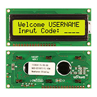 Newhaven Display Intl - NHD-0216PZ-FL-YBW - LCD MOD CHAR 2X16 Y/G TRANSFL
