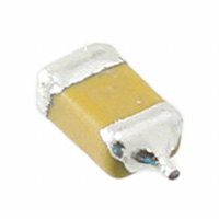 Nichicon - F950G227MAAAM1Q2 - CAP TANT 220UF 4V 20% 1206