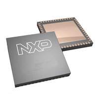 NXP USA Inc. - ADC1413D080HN/C1,5 - ADC 14BIT DUAL 80MSPS 56HVQFN
