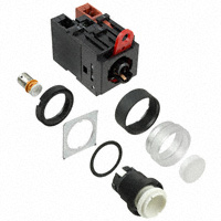 Omron Automation and Safety - A22L-TW-24A-11A - SWITCH PUSH DPST 10A 110V