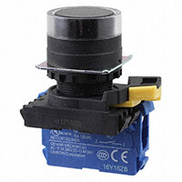 Omron Automation and Safety - A22NN-BGM-NBA-G100-NN - SWITCH PUSH SPST-NO 10A 120V