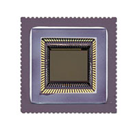 ON Semiconductor - NOII4SM1300A-QDC - SENSOR IMAGE MONO CMOS 84-LCC