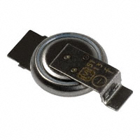 Panasonic Electronic Components - EEC-EN0F204A - CAP 200MF -20% +80% 3.3V SMD