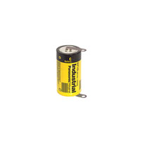 Panasonic - BSG - AM-2PIXT - BATTERY ALKALINE 1.5V C
