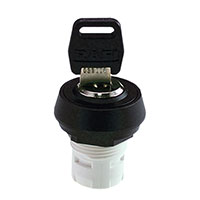 RAFI USA - 1.30076.0710000 - KEYLOCK SWITCH LATCHING