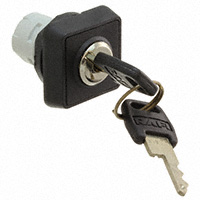 RAFI USA - 1.30076.1010000 - KEYLOCK SWITCH LATCHING