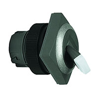 RAFI USA - 1.30247.5510207 - RAFIX 22QR TOGGLE SWITCH