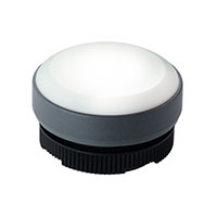 RAFI USA - 1.74.508.001/2200 - SIG IND RND FLT WHITE