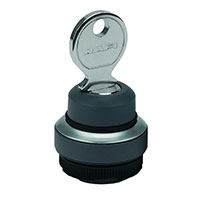 RAFI USA - 1.30275.1010100 - RAFIX 22FS+ KEYLOCK SWITCH 2X40