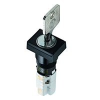 RAFI USA - 1.15108.9410000 - SWITCH KEYLOCK 2POS DPST 4A 250V