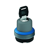 RAFI USA - 1.30255.3020000 - RAFIX 22 FS+ KEYLOCK SWITCH