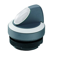 RAFI USA - 1.30272.0022200 - RAFIX 22 FS+ SELECTOR SWITCH