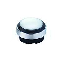 RAFI USA - 1.30280.0012201 - RAFIX 22FSR PUSHBUTTON