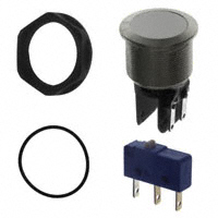 Schurter Inc. - 1241.7026.1114000 - SWITCH PUSHBUTTON SPDT 100MA 30V