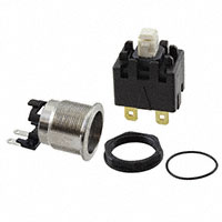 Schurter Inc. - 3-100-999 - SWITCH PUSHBUTTON DPST 16A 250V