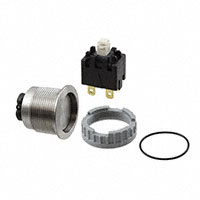 Schurter Inc. - 3-101-012 - SWITCH PUSHBUTTON DPST 16A 250V