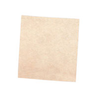 3M - 61500125556 - CLEAN & FINISH SHEET FSFN