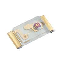 SunLED - XZMDKT53W-6 - LED RED CLEAR 0603 SMD