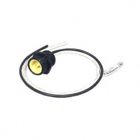 Conxall/Switchcraft - 172P12 - CABLE ASSY PNL-MNT RECPT 2POS 1'