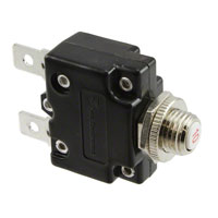 TE Connectivity Potter & Brumfield Relays - W57-XF6A4A10-10 - CIR BRKR THRM 10A 250VAC