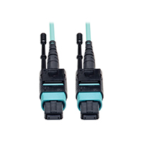 Tripp Lite - N844-10M-12-P - PATCH CABLE FIBER