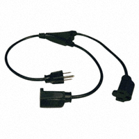 Tripp Lite - P022-001-2 - POWER Y EXTENSION CORD 1'