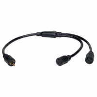 Tripp Lite - P039-001-2 - POWER SPLITTER CORD 1'