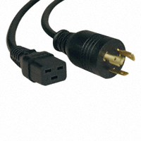 Tripp Lite - P045-010 - HEAVY DUTY POWER CORD 10'