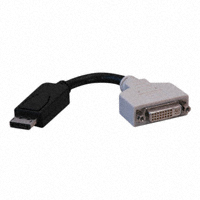 Tripp Lite - P134-000 - DISPLAYPORT MALE TO DVI FEMALE