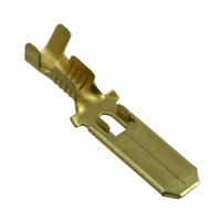 TE Connectivity AMP Connectors - 170340-1 - CONN QC TAB 14-20AWG 0.250 CRIMP