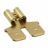 TE Connectivity AMP Connectors - 61765-1 - CONN ADPT 0.25 TABS TO 0.25 RCPT