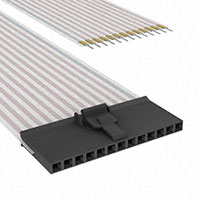 TE Connectivity AMP Connectors - A9CAA-1306F - FLEX CABLE - AFG13A/AF13/AFE13T