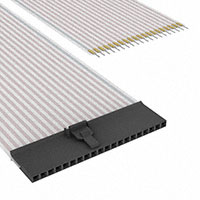 TE Connectivity AMP Connectors - A9CAA-2006E - FLEX CABLE - AFK20A/AE20/AFH20T