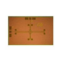 Analog Devices Inc. - HMC1105 - IC MMIC FREQ MULTIPLIER DIE