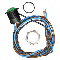 APEM Inc. - IAR5F1300 - SWITCH PUSHBUTTON SPDT 2A 24V