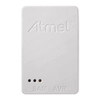 Microchip Technology - ATATMEL-ICE-BASIC - EMU FOR SAM AND AVR MCU BASIC
